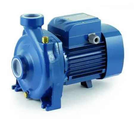 HFm 70C - Electrobomba centrífuga monofásica de 1,5 HP Pedrollo - 1