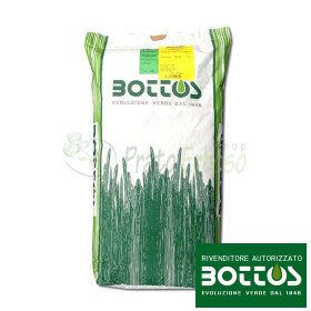 Trifoi pitic - semințe de gazon 25 kg