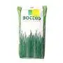 Dwarf Repens Clover - 25 kg lawn seed