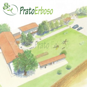 Proyecto de riego para céspedes de hasta 2000 m2