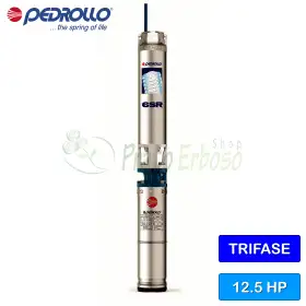 6SR12/18 - PSR - Pompe électrique submersible triphasée 12,5 CV Pedrollo - 1