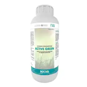Active Green - Fertilizante líquido para césped de 1 kg