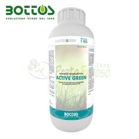 Active Green - Concime liquido per prato da 1 kg