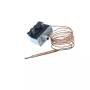 95100000 - TSRM 100° Thermostat