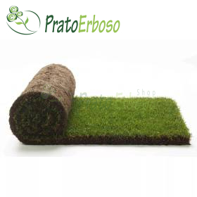 GreenZolla - Abbonamento a lettiera ecologica Prato Erboso - 4