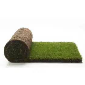 GreenZolla - Eco-friendly litter subscription