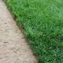 GreenZolla - Abbonamento a lettiera ecologica Prato Erboso - 3
