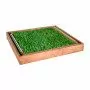 GreenZolla - Suscripción a basura ecológica
