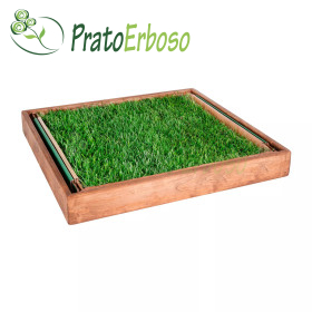 GreenZolla - Abonnement à une litière écologique Prato Erboso - 1