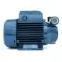 PQ 90 - Elettropompa con girante periferica trifase da 1 HP
