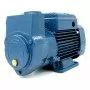 Pompă electrică cu inel lichid autoamorsantă monofazată CKm 50 - 0,50 CP