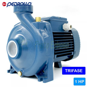 HF 51A - Électropompe centrifuge triphasée 1 HP Pedrollo - 1 HF 51A - Électropompe centrifuge triphasée 1 HP Pedrollo - 1