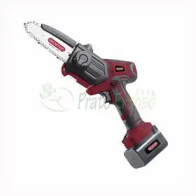 PE02 - 16.8V battery-powered pruner Archman - 1