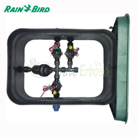 PA-DV-F3-9V - Assembled 1" 3 zone sump Rain Bird - 1