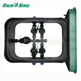PA-HV-F4 - Puisard assemblé 1", 4 zones Rain Bird - 1