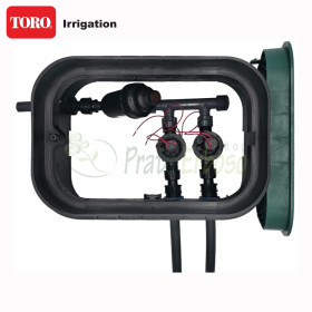 PA-EZP-F2 - 1" assembled sump, 2 zones TORO Irrigazione - 1