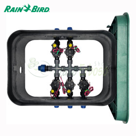 PA-DV-5-9V - Sumidero ensamblado de 1" y 5 zonas Rain Bird - 1
