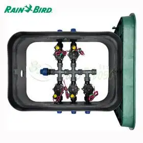 PA-DV-5-9V - Sumidero ensamblado de 1" y 5 zonas Rain Bird - 1