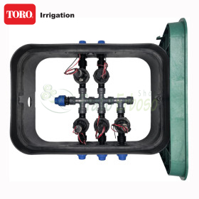 PA-EZP-5-9V - Sumidero ensamblado de 1" y 5 zonas TORO Irrigazione - 1