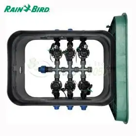 PA-HV-6 - Puisard assemblé 1", 6 zones Rain Bird - 1