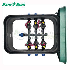 PA-DV-6-9V - Pozzetto assemblato da 1" 6 zone Rain Bird - 1