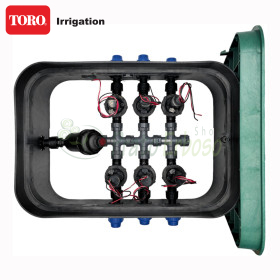 PA-EZP-F6-9V - gropë e montuar 1", 6 zona TORO Irrigazione - 1