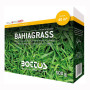 Bahiagrass - 500g Lawn Seed