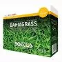 Semințe de gazon Bahiagrass - 500g