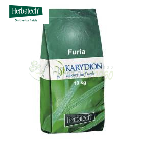 Furia - 10 kg de graines de gazon