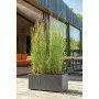 Millennium - 59cm Kassettenvase Anthrazit Deroma - 2