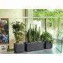 Millennium - 59cm Kassettenvase Anthrazit Deroma - 3