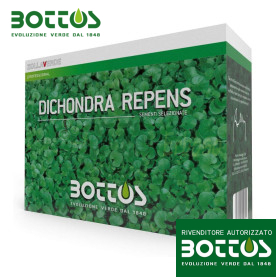 Dicondra Repens – 1 kg Rasensamen
