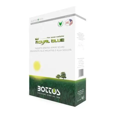 Albastru regal - 1 kg semințe de gazon