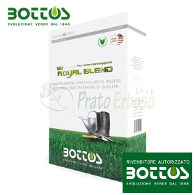 Amestec Regal - 1 kg semințe de gazon