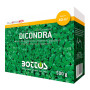 Dicondra Repens - 500 g de semillas para césped