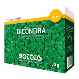 Dicondra - Semillas de césped 500g