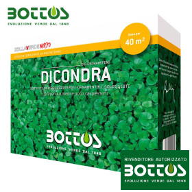 Dicondra Repens - Semences pour gazon 500 g