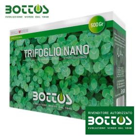Zwergklee – 500 g Rasensamen