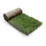 GreenZolla - Ecological litter made from real grass Prato Erboso - 4