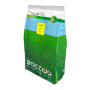 Semințe de iarbă de pădure - 5 kg