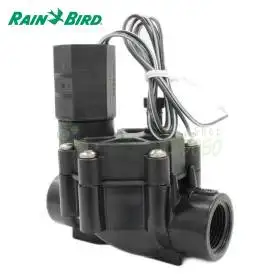 075-DV - Electrovalva 3/4". Rain Bird - 1