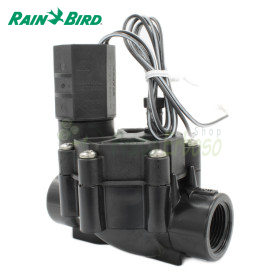 075-DV - Elettrovalvola da 3/4" Rain Bird - 1