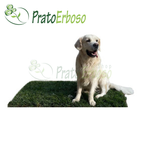 GreenZolla - Așternut ecologic de gazon real Prato Erboso - 1
