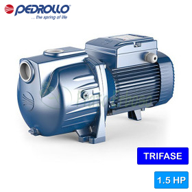 SKR 1,1 - 1,5 PS dreiphasige selbstansaugende elektrische Pumpe