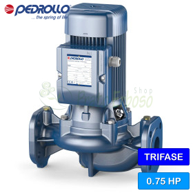 WR 50/125-SB - Pompă electrică centrifugă trifazată de 0,75 CP