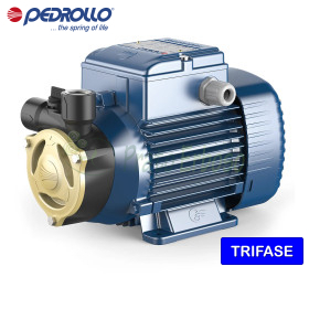 PQA 60 - 0.40 HP three-phase peripheral impeller electric pump Pedrollo - 1 PQA 60 - 0.40 HP three-phase peripheral impeller electric pump Pedrollo - 1