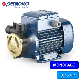 PQAm 70 - Elettropompa con girante periferica monofase da 0.75 HP Pedrollo - 1