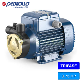 PQA 70 - Elettropompa con girante periferica trifase da 0.75 HP Pedrollo - 1