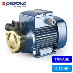 PQA 70 - Elettropompa con girante periferica trifase da 0.75 HP Pedrollo - 1