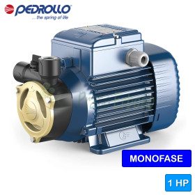 PQAm 90 - Electrobomba con impulsor periférico monofásico de 1 HP Pedrollo - 1 PQAm 90 - Electrobomba con impulsor periférico monofásico de 1 HP Pedrollo - 1